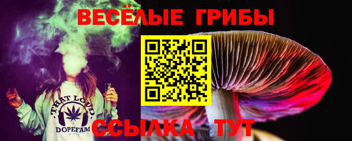 закладки  Вход с VPN  Наро-Фоминск  Псилоцибиновые грибы мицелий  Псилоцибиновые грибы прущие грибы 